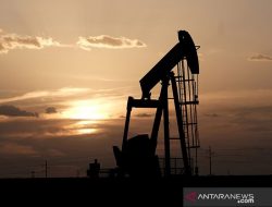 Harga minyak ditutup lebih tinggi didukung optimisme permintaan 2022