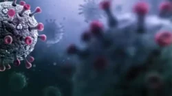 penyebaran virus Corona Kembali Serang Singapura, Hal ini Langkah Kemenkes untuk Halau Penyebarannya pada area Indonesia