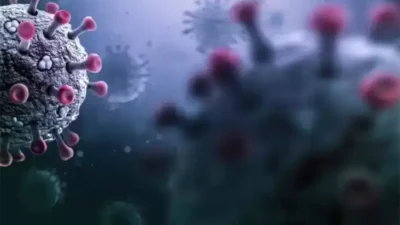 penyebaran virus Corona Kembali Serang Singapura, Hal ini Langkah Kemenkes untuk Halau Penyebarannya pada area Indonesia