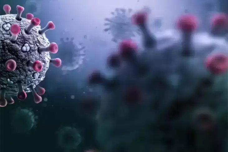 penyebaran virus Corona Kembali Serang Singapura, Hal ini Langkah Kemenkes untuk Halau Penyebarannya pada area Indonesia