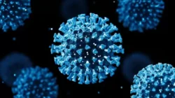 Kasus wabah penyebaran virus Corona pada Singapura Ngegas, Epidemiologi Pastikan Indonesia Masih Aman