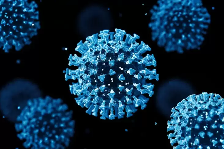 Kasus wabah penyebaran virus Corona pada Singapura Ngegas, Epidemiologi Pastikan Indonesia Masih Aman