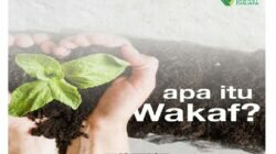 Mengenal wakaf saham, kemungkinan beramal melalui lingkungan dunia usaha modal syariah